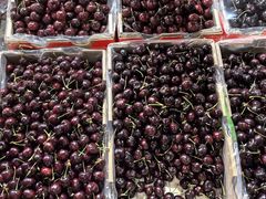 -江杨农产品批发市场