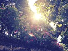 -重庆市江北嘴中央商务区中央公园