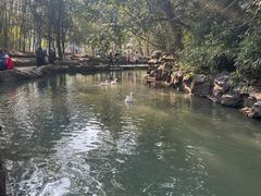 -兰亭风景区