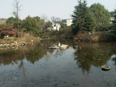-白马涧龙池景区