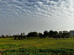 -汉长安城未央宫国家考古遗址公园