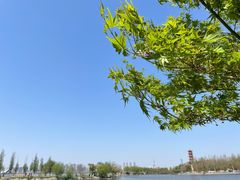 -云龙湖旅游景区