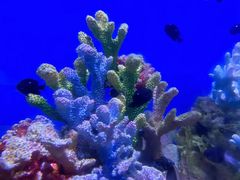 -海合安武汉极地海洋公园