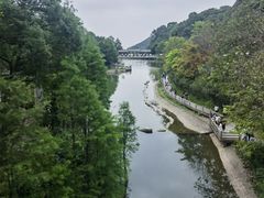 -广州市帽峰山景区