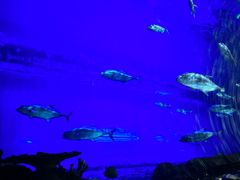 -华夏文旅西安度假区