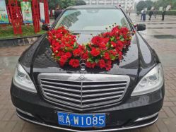 -蚂蚁婚车