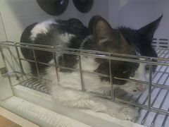 -宠颐生汉谟拉比宠物医院