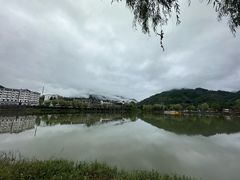 -后柳水乡