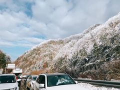 -秦岭风景区