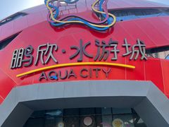 -鹏欣水游城