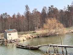 -渌洋湖湿地公园