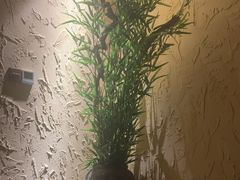 -沐·SPA悠享影院足道(海岸城店)