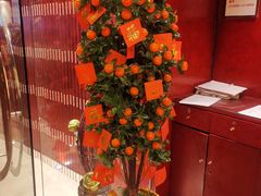 -利苑酒家(金宝店)