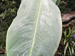 -兰溪青年公园