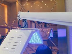 -碧莲盛·不剃发植发