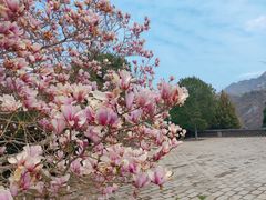 -居庸关长城