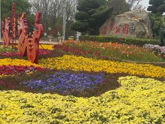 -洛龙公园