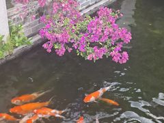 -惠州西湖丰渚园