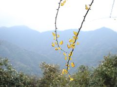 -篁岭景区