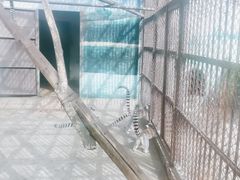 -昆明动物园