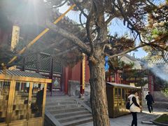 -五台山风景名胜区-罗睺寺