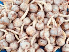 -南坛综合农贸市场