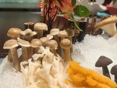 -尚海豆捞(乐虹坊店)