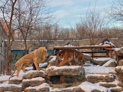 -北京野生动物园