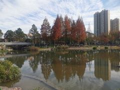 -宁波儿童公园(鄞州区)