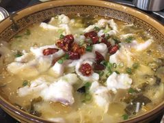 -牛真鲜禾一捞面(东鼓道店)