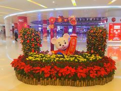 -深圳龙华星河COCO City(民治店)