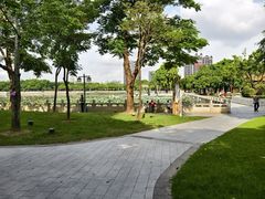 -顺峰山公园