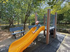 -阳台山自然风景区