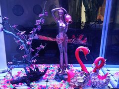 -巴特餐饮6加1音乐餐吧·新疆菜