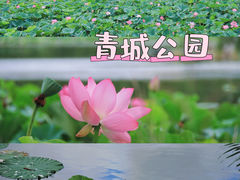 -青城公园