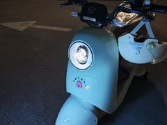 -绿源电动车(普陀专卖店)