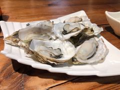 -鲁前海沿儿