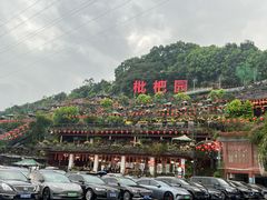 -枇杷园食为鲜火锅(南山店)