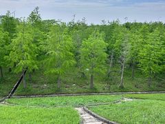 -南汇嘴观海公园