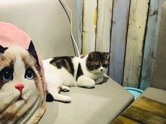 -小时光咖啡馆(开森度假森林店)