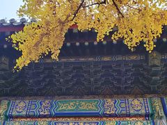 -红螺寺