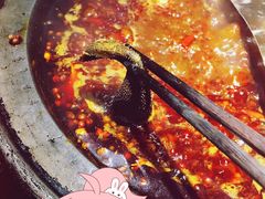 -宽板凳老灶火锅(簋街店)