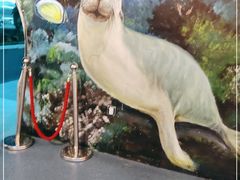 -乐从天佑城海洋馆