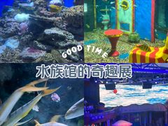 -大连圣亚海洋世界