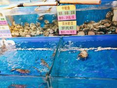 -黄寺蒸汽海鲜(黄寺大街店)