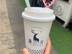-麓茶