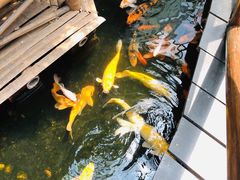 -上海大自然野生昆虫馆(东方明珠·爬宠昆虫探索中心)