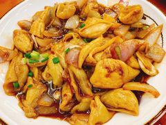 -全乐鱼馆·淳牌有机鱼直营店
