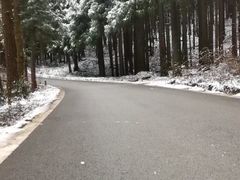 -武陵山森林公园