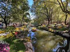 -上海共青森林公园